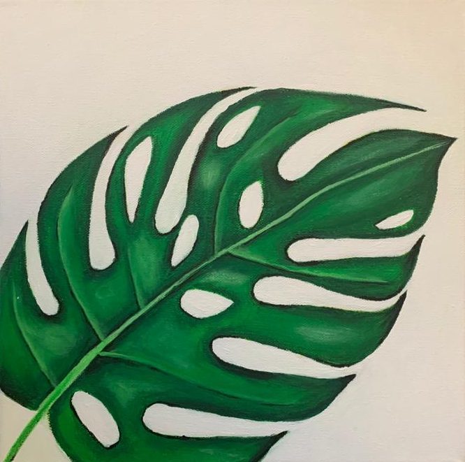Monstera