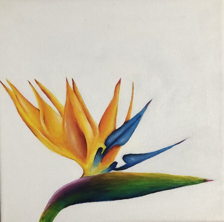Bird of Paradise