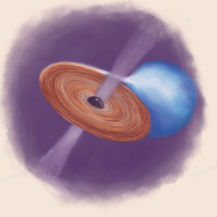 Black Hole X-ray Binary
