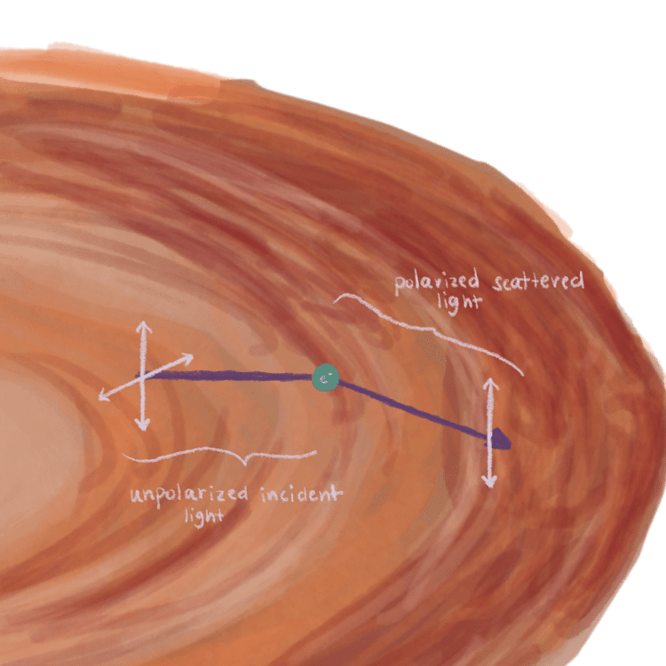 Scattering Polarimetry Accretion Disk